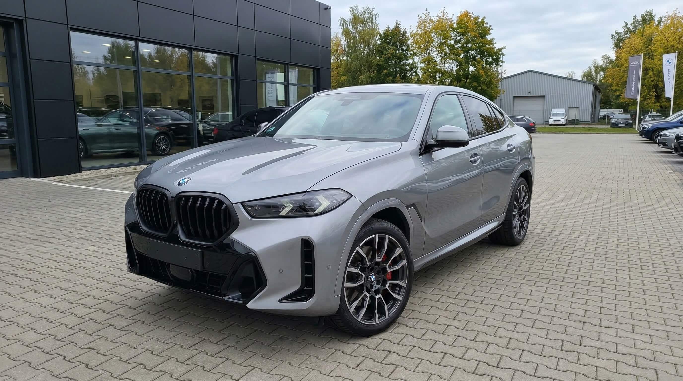 BMW X6 · Diesel 298 KM