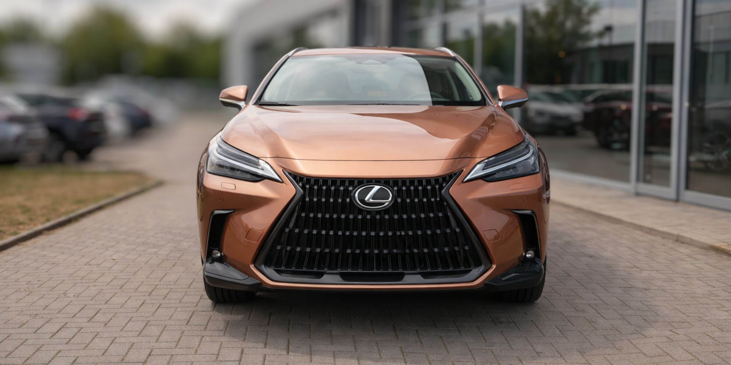 Lexus NX 350h Omotenashi – zdjęcie 2