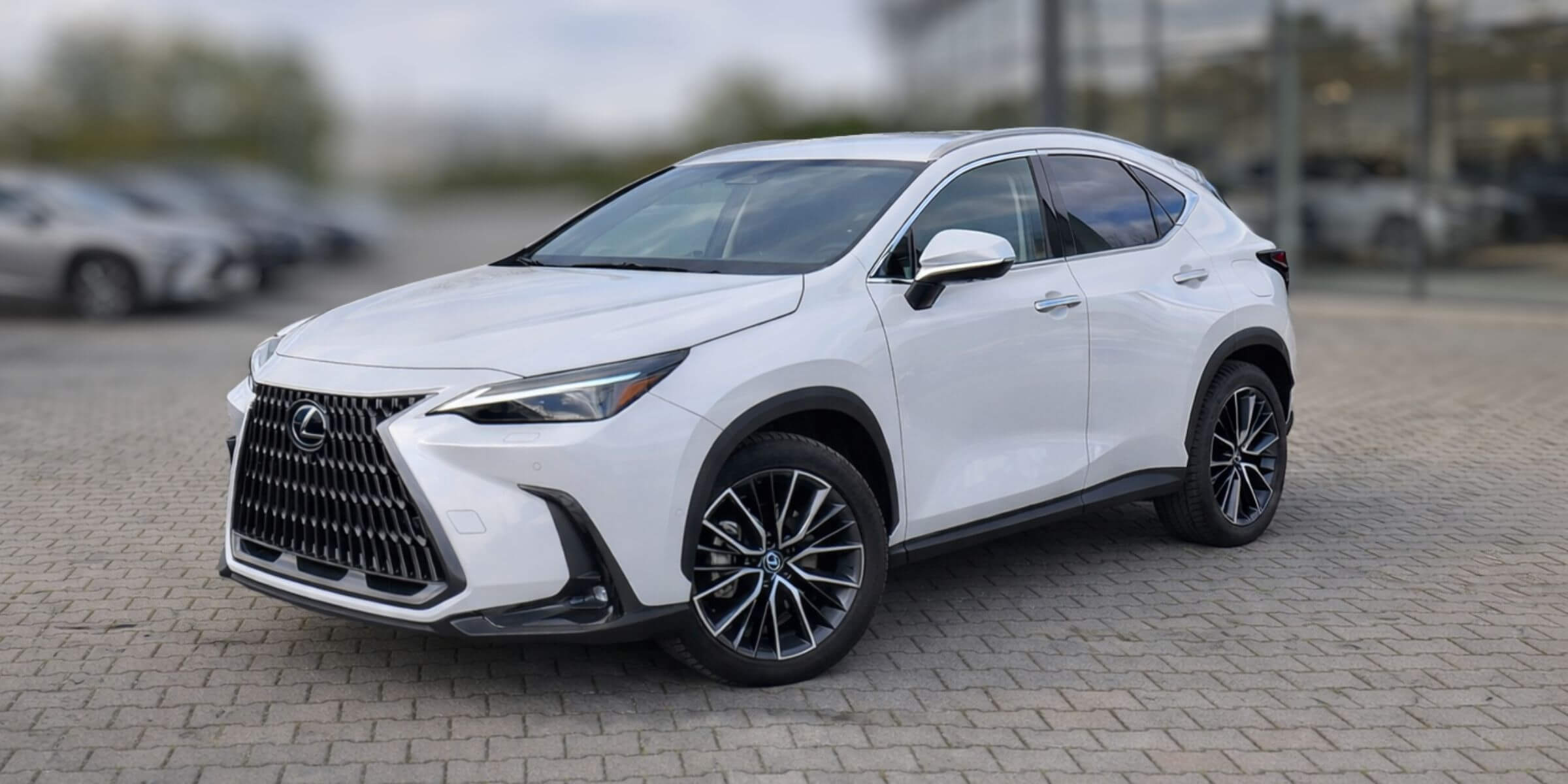 Lexus NX – widok z tyłu i prawego boku
